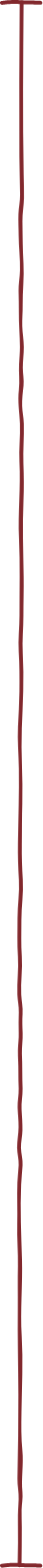 houserules-body-area-divider